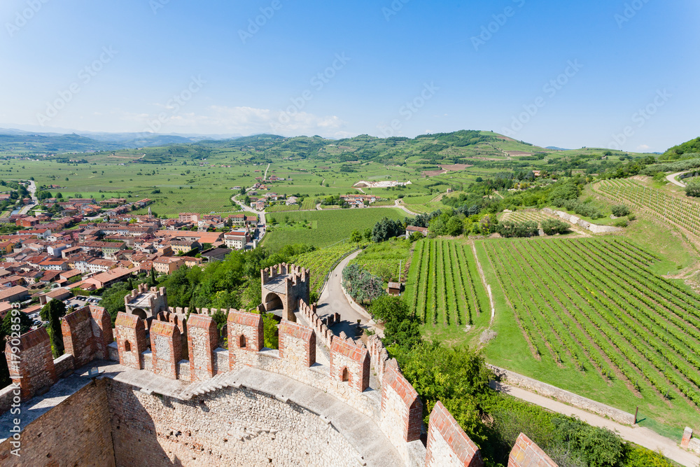 transfer Verona e provincia transfer Verona e provincia